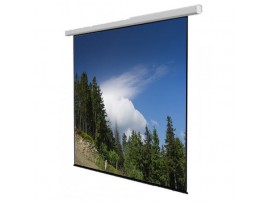 Screenview Manual Wall Screen MWSSV2424L